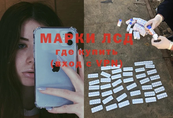 спиды Магас