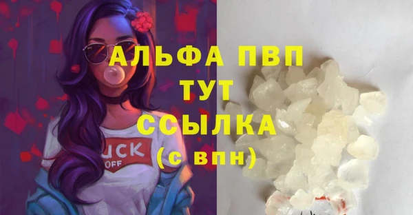 спиды Магас