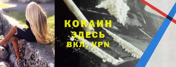спиды Магас