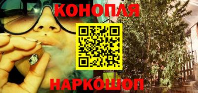 стафф Краснознаменск