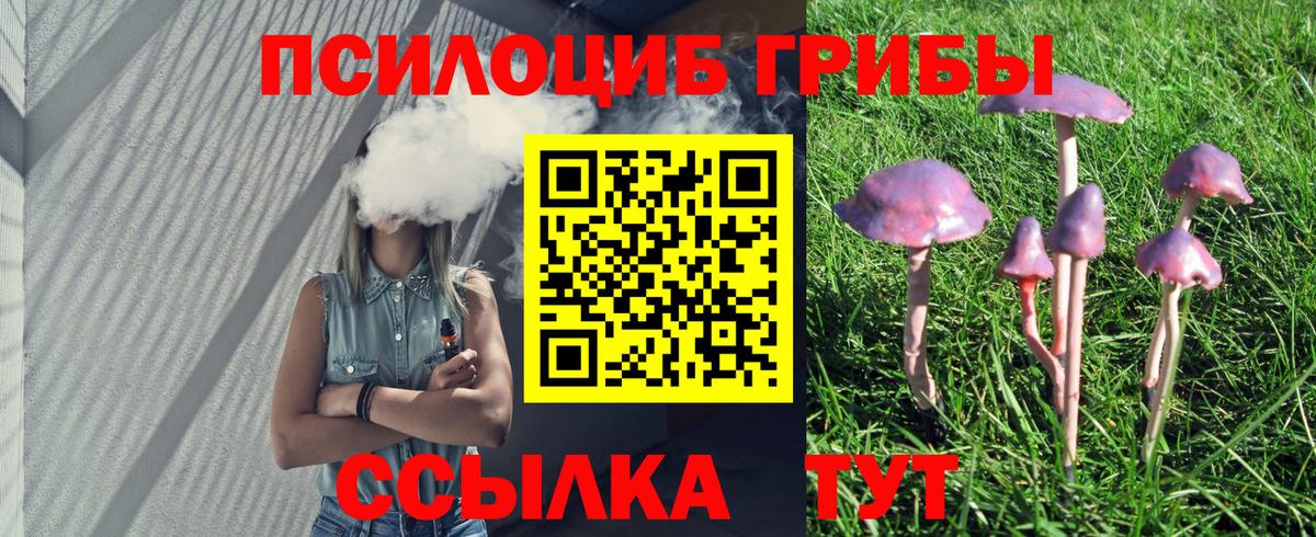 Галлюциногенные грибы MAGIC MUSHROOMS  Вход с VPN  Тейково 